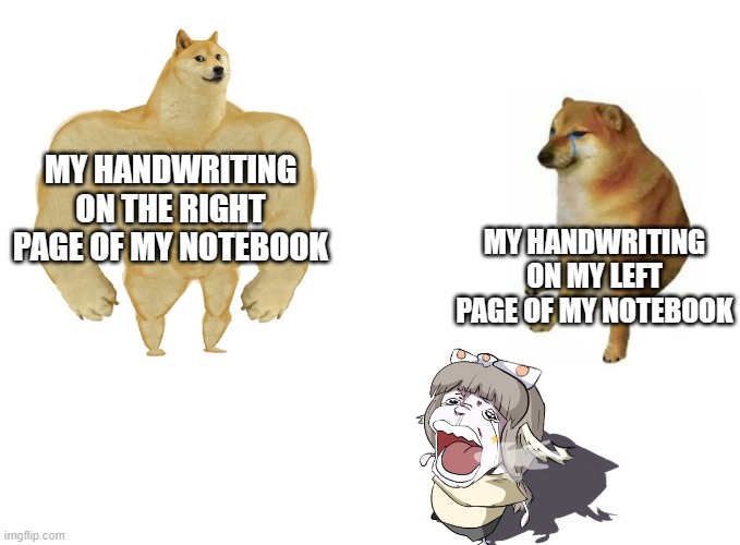 the simple laws of physics (true) | MY HANDWRITING ON THE RIGHT PAGE OF MY NOTEBOOK; MY HANDWRITING ON MY LEFT PAGE OF MY NOTEBOOK | image tagged in buff doge vs crying cheems | made w/ Imgflip meme maker