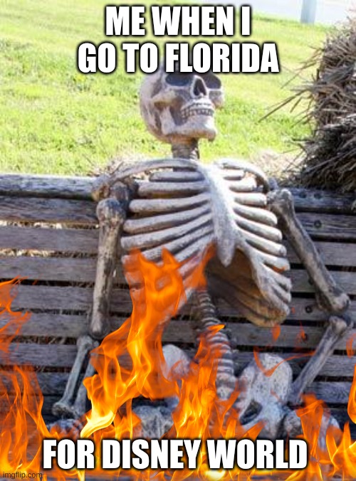 Waiting Skeleton Meme | ME WHEN I GO TO FLORIDA; FOR DISNEY WORLD | image tagged in memes,waiting skeleton,florida | made w/ Imgflip meme maker