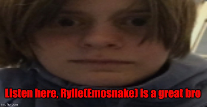 DarthSwede silly serious face | Listen here, Rylie(Emosnake) is a great bro | image tagged in darthswede silly serious face | made w/ Imgflip meme maker