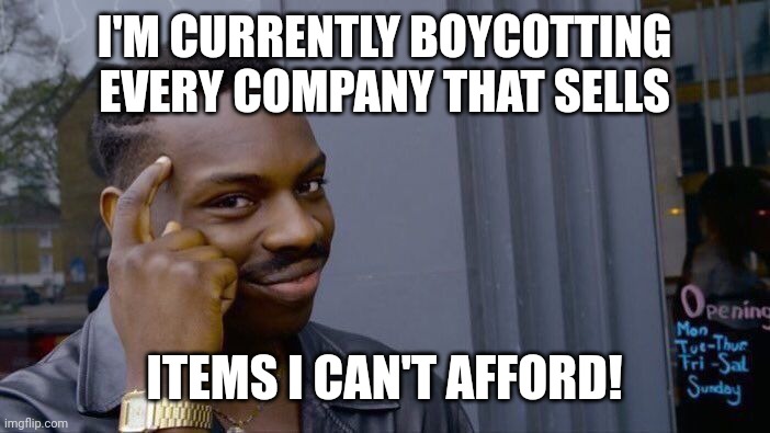 Roll Safe Think About It | I'M CURRENTLY BOYCOTTING EVERY COMPANY THAT SELLS; ITEMS I CAN'T AFFORD! | image tagged in memes,roll safe think about it | made w/ Imgflip meme maker