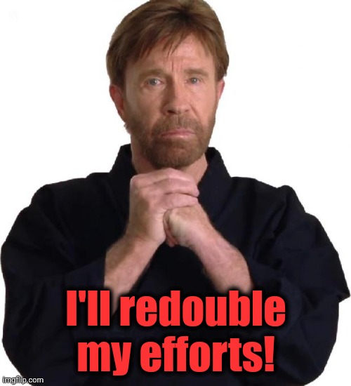 Determined Chuck Norris | I'll redouble my efforts! | image tagged in determined chuck norris | made w/ Imgflip meme maker