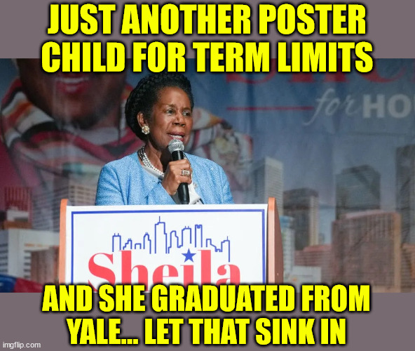 Yale must be so proud of this alumni | JUST ANOTHER POSTER CHILD FOR TERM LIMITS; AND SHE GRADUATED FROM YALE... LET THAT SINK IN | image tagged in moon,is a planet of gasses,us constitution is 400 years old,sheila jackson lee,meanest democratic congress member | made w/ Imgflip meme maker