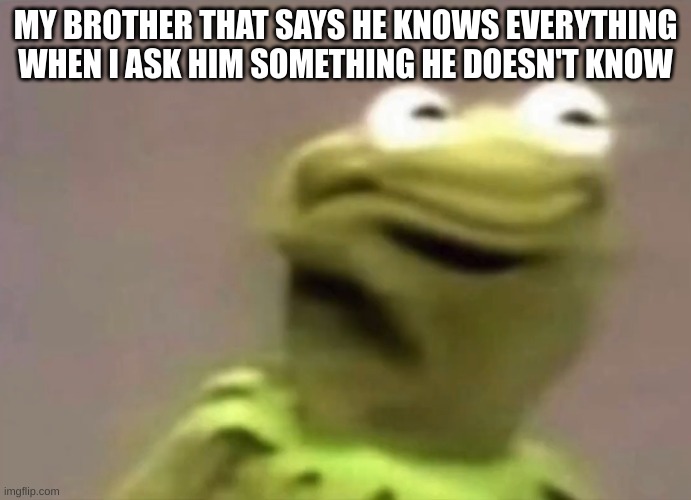 my brother e like | MY BROTHER THAT SAYS HE KNOWS EVERYTHING WHEN I ASK HIM SOMETHING HE DOESN'T KNOW | image tagged in kirmit 2 | made w/ Imgflip meme maker