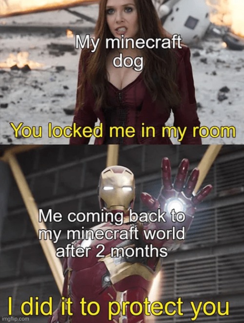 I only did it to protect you. | image tagged in gaming,minecraft | made w/ Imgflip meme maker
