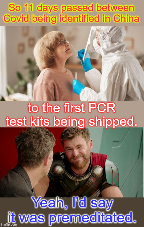 It's obvious it was premeditated... | So 11 days passed between
Covid being identified in China; to the first PCR test kits being shipped. Yeah, I'd say it was premeditated. | image tagged in covid testing,stating the obvious,premeditated | made w/ Imgflip meme maker