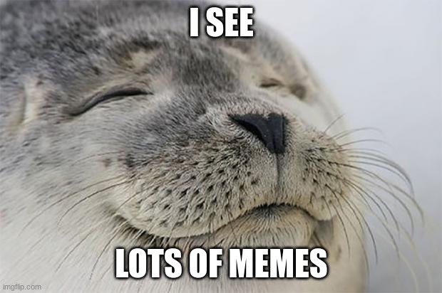 Satisfied Seal Meme | I SEE LOTS OF MEMES | image tagged in memes,satisfied seal | made w/ Imgflip meme maker
