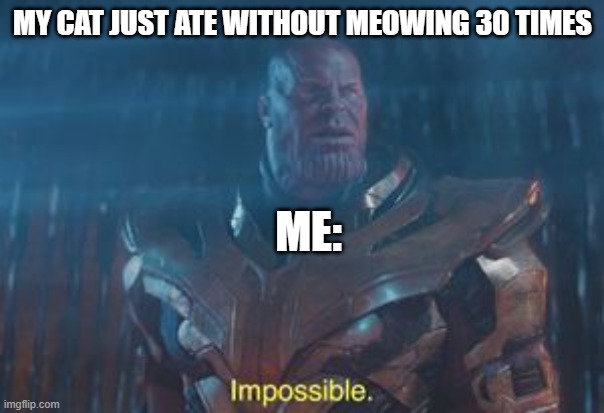 They be acting like they haven't eaten in weeks | MY CAT JUST ATE WITHOUT MEOWING 30 TIMES; ME: | image tagged in thanos impossible | made w/ Imgflip meme maker