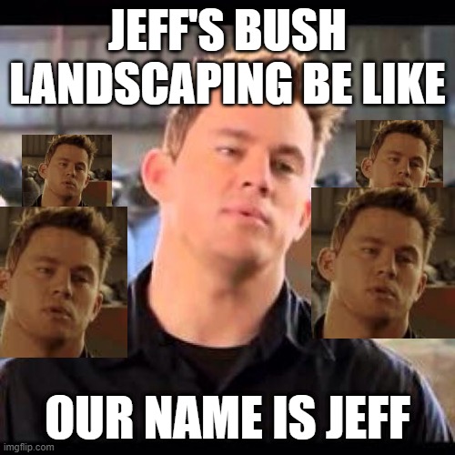 Our name is Jeff | JEFF'S BUSH LANDSCAPING BE LIKE; OUR NAME IS JEFF | image tagged in my name is jeff | made w/ Imgflip meme maker