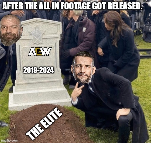 Aftermath of the All In Footage | AFTER THE ALL IN FOOTAGE GOT RELEASED. 2019-2024; THE ELITE | image tagged in cm punk,triple h,aew | made w/ Imgflip meme maker