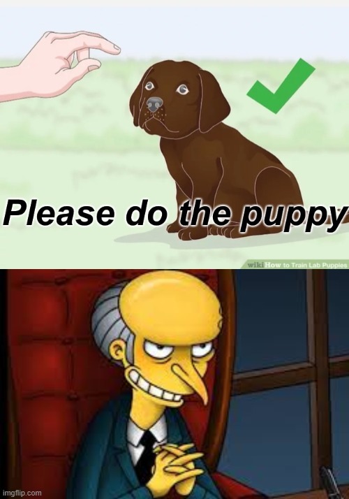 image tagged in please do the puppy,evil grin | made w/ Imgflip meme maker