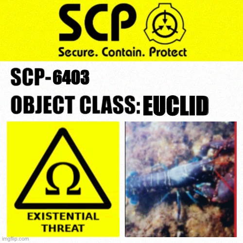 SCP-6403 Label | 6403; EUCLID | image tagged in scp object class blank label | made w/ Imgflip meme maker