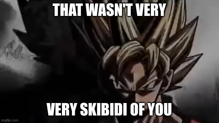 Goku Staring | THAT WASN'T VERY VERY SKIBIDI OF YOU | image tagged in goku staring | made w/ Imgflip meme maker