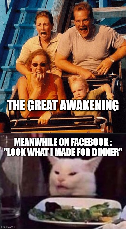 THE GREAT AWAKENING; MEANWHILE ON FACEBOOK : "LOOK WHAT I MADE FOR DINNER" | image tagged in white dinner table cat | made w/ Imgflip meme maker