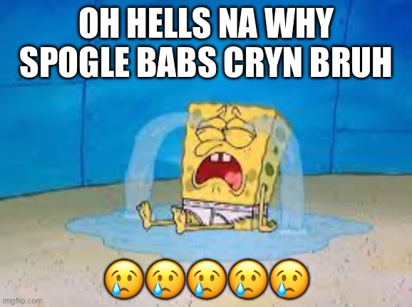 Spuchbop | OH HELLS NA WHY SPOGLE BABS CRYN BRUH; 😢😢😢😢😢 | image tagged in spunch bop | made w/ Imgflip meme maker