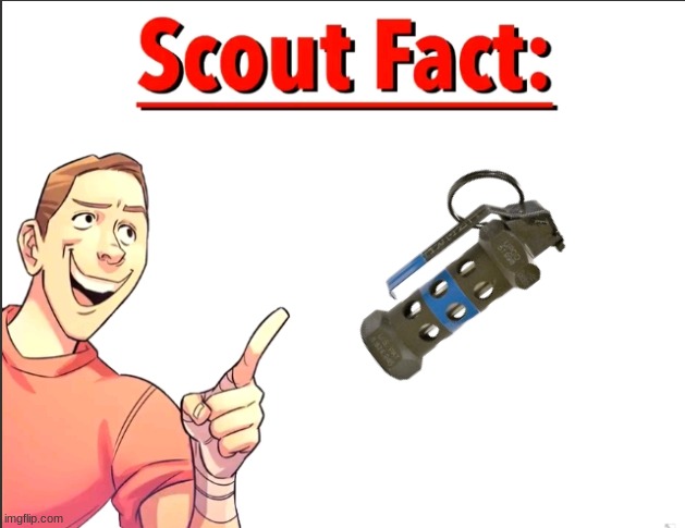 Scout Fact | image tagged in scout fact | made w/ Imgflip meme maker