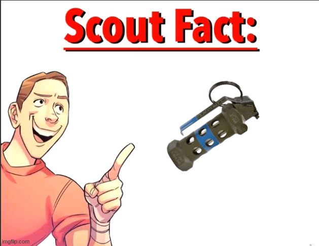 Scout Fact | image tagged in scout fact | made w/ Imgflip meme maker