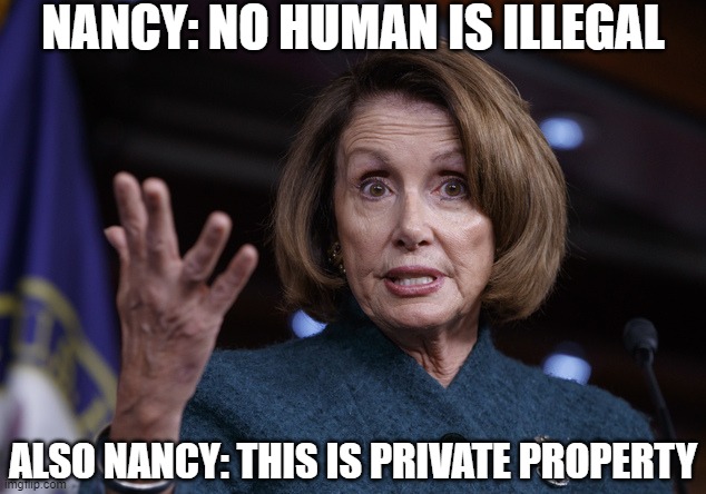 Liberal Hypocrisy on Immigration | NANCY: NO HUMAN IS ILLEGAL; ALSO NANCY: THIS IS PRIVATE PROPERTY | image tagged in good old nancy pelosi,hypocrite,try and squat | made w/ Imgflip meme maker