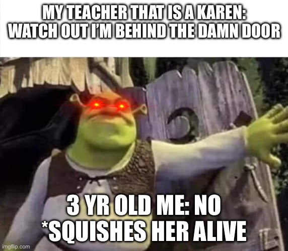 We need less karens | MY TEACHER THAT IS A KAREN: WATCH OUT I’M BEHIND THE DAMN DOOR; 3 YR OLD ME: NO *SQUISHES HER ALIVE | image tagged in shrek opens the door | made w/ Imgflip meme maker