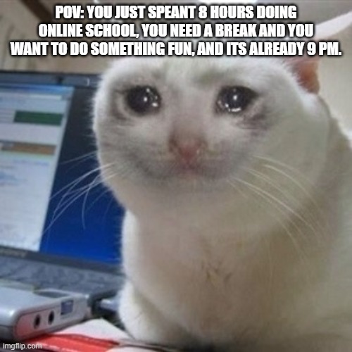 its true | POV: YOU JUST SPEANT 8 HOURS DOING ONLINE SCHOOL, YOU NEED A BREAK AND YOU WANT TO DO SOMETHING FUN, AND ITS ALREADY 9 PM. | image tagged in crying cat | made w/ Imgflip meme maker