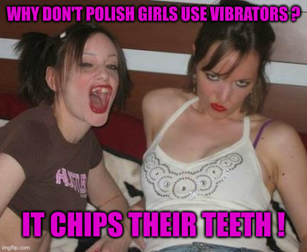 Brrrrrrr | WHY DON'T POLISH GIRLS USE VIBRATORS ? IT CHIPS THEIR TEETH ! | image tagged in skanky hustler girls missing teeth,funny memes,funny,dark humor | made w/ Imgflip meme maker