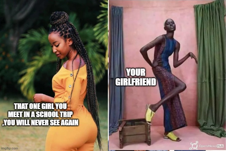 Ugly girlfriend | YOUR GIRLFRIEND; THAT ONE GIRL YOU MEET IN A SCHOOL TRIP ,YOU WILL NEVER SEE AGAIN | image tagged in funny memes | made w/ Imgflip meme maker