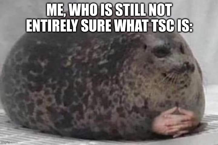 Fat seal with interlocked hands | ME, WHO IS STILL NOT ENTIRELY SURE WHAT TSC IS: | image tagged in fat seal with interlocked hands | made w/ Imgflip meme maker