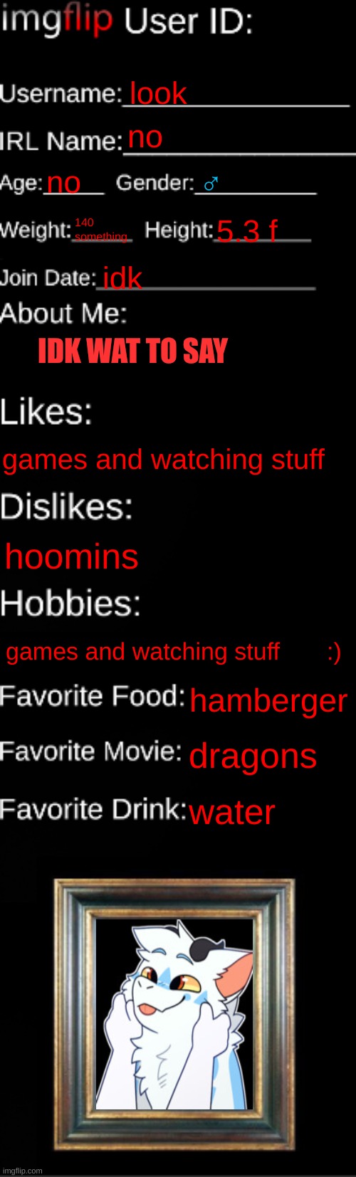 imgflip ID Card | look; no; no; ♂; 140 something; 5.3 f; idk; IDK WAT TO SAY; games and watching stuff; hoomins; games and watching stuff       :); hamberger; dragons; water | image tagged in imgflip id card | made w/ Imgflip meme maker