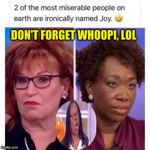 BOZOs | DON'T FORGET WHOOPI, LOL | image tagged in joy reid | made w/ Imgflip meme maker