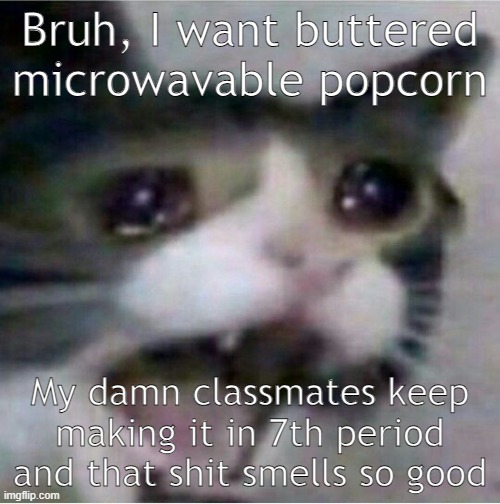 AAAAAAAAAAAAAAAAAAAAAAAA | Bruh, I want buttered microwavable popcorn; My damn classmates keep making it in 7th period and that shit smells so good | image tagged in crying cat | made w/ Imgflip meme maker