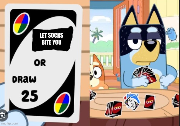 bluey draw 25 uno | LET SOCKS BITE YOU | image tagged in bluey draw 25 uno | made w/ Imgflip meme maker