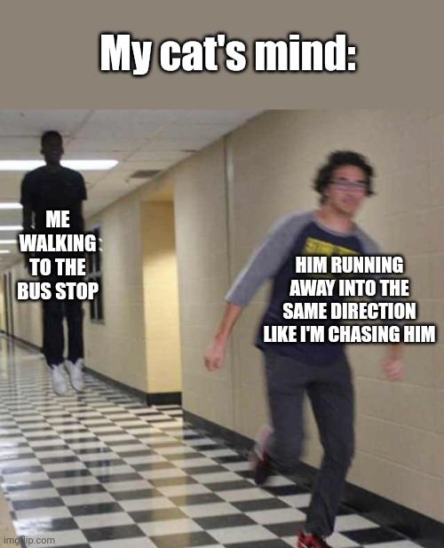 Bro is not from evade | My cat's mind:; ME WALKING TO THE BUS STOP; HIM RUNNING AWAY INTO THE SAME DIRECTION LIKE I'M CHASING HIM | image tagged in floating boy chasing running boy | made w/ Imgflip meme maker