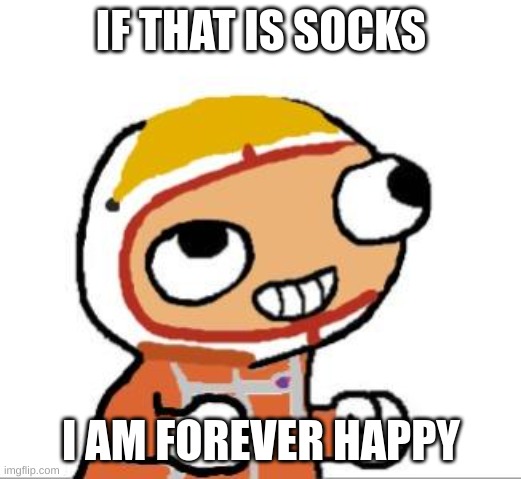 socksfor1 | IF THAT IS SOCKS I AM FOREVER HAPPY | image tagged in socksfor1 | made w/ Imgflip meme maker