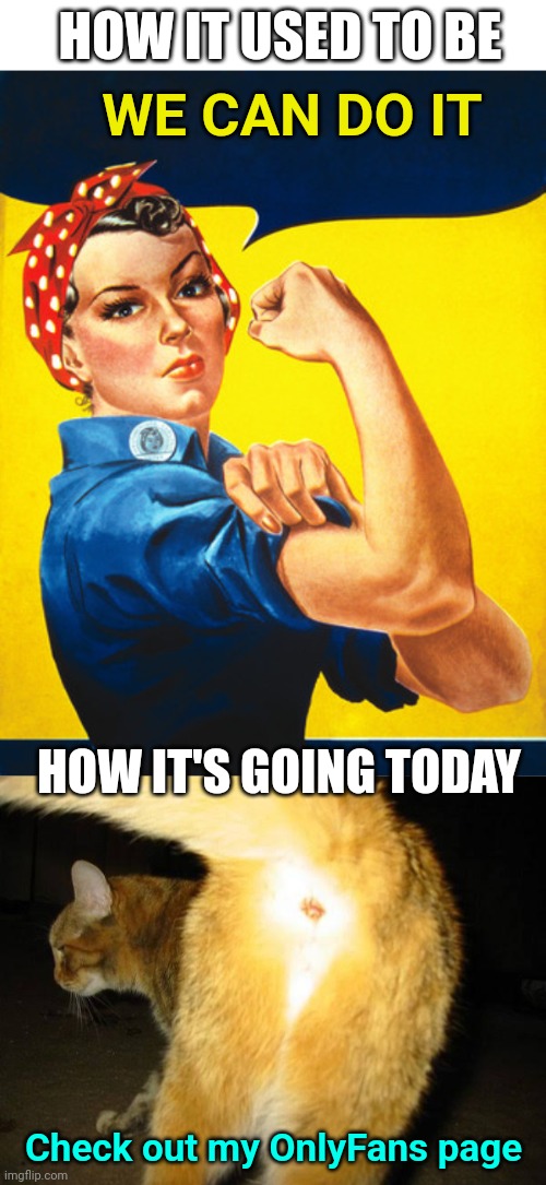 Not sure how this isn't political... Politicians have allowed this swing in culture | HOW IT USED TO BE; WE CAN DO IT; HOW IT'S GOING TODAY; Check out my OnlyFans page | image tagged in rosie the riveter,cats butt,what the hell happened here,politics | made w/ Imgflip meme maker