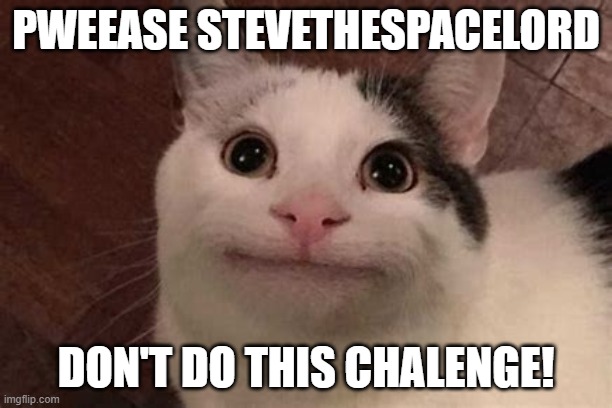 Don't be dumb, please don't do this! | PWEEASE STEVETHESPACELORD; DON'T DO THIS CHALENGE! | image tagged in polite cat | made w/ Imgflip meme maker