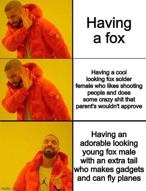 Drake meme 3 panels | Having a fox Having a cool looking fox solder female who likes shooting people and does some crazy shit that parent's wouldn't approve Havin | image tagged in drake meme 3 panels | made w/ Imgflip meme maker