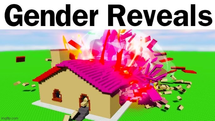 gender reveals | image tagged in gender reveal | made w/ Imgflip meme maker
