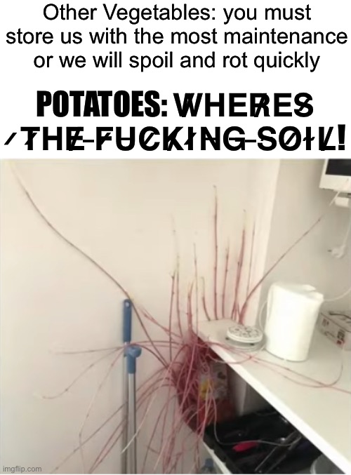 I found this picture | Other Vegetables: you must store us with the most maintenance or we will spoil and rot quickly; POTATOES: W̸H̶E̶R̸E̵S̷ ̷T̷H̵E̸ ̵F̷U̵C̷K̸I̷N̶G̶ ̵S̴O̷I̴L̸! | image tagged in potato | made w/ Imgflip meme maker