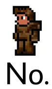 Terrarian says "No." Blank Meme Template