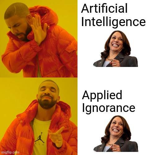 Drake Hotline Bling Meme | Artificial
Intelligence Applied
Ignorance | image tagged in memes,drake hotline bling | made w/ Imgflip meme maker