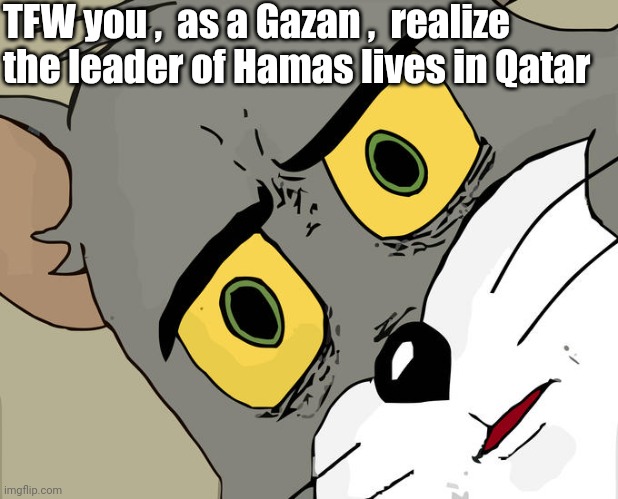 Unsettled Tom Meme | TFW you ,  as a Gazan ,  realize the leader of Hamas lives in Qatar | image tagged in memes,unsettled tom | made w/ Imgflip meme maker