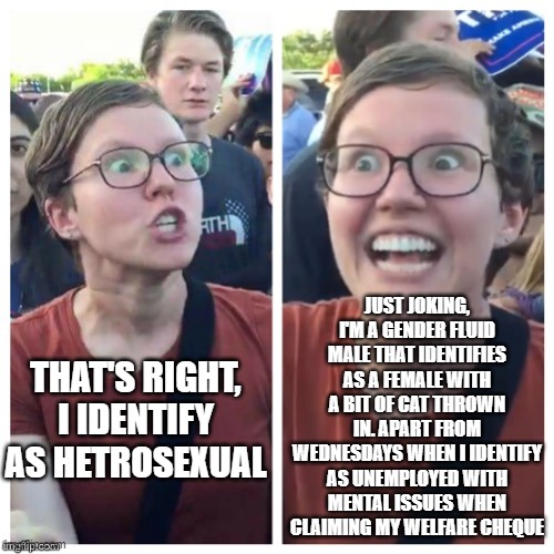 SJW Hypocrisy | JUST JOKING, I'M A GENDER FLUID MALE THAT IDENTIFIES AS A FEMALE WITH A BIT OF CAT THROWN IN. APART FROM WEDNESDAYS WHEN I IDENTIFY AS UNEMPLOYED WITH MENTAL ISSUES WHEN CLAIMING MY WELFARE CHEQUE; THAT'S RIGHT, I IDENTIFY AS HETROSEXUAL | image tagged in sjw hypocrisy | made w/ Imgflip meme maker