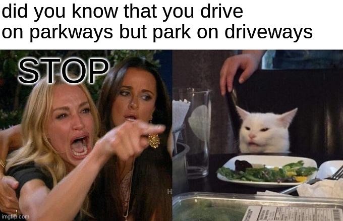 Woman Yelling At Cat | did you know that you drive on parkways but park on driveways; STOP | image tagged in memes,woman yelling at cat | made w/ Imgflip meme maker