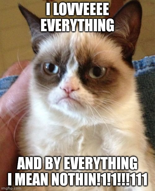 Grumpy Cat | I LOVVEEEE EVERYTHING; AND BY EVERYTHING I MEAN NOTHIN!1!1!!!111 | image tagged in memes,grumpy cat | made w/ Imgflip meme maker