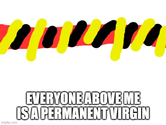 Blank White Template | EVERYONE ABOVE ME IS A PERMANENT VIRGIN | image tagged in blank white template | made w/ Imgflip meme maker