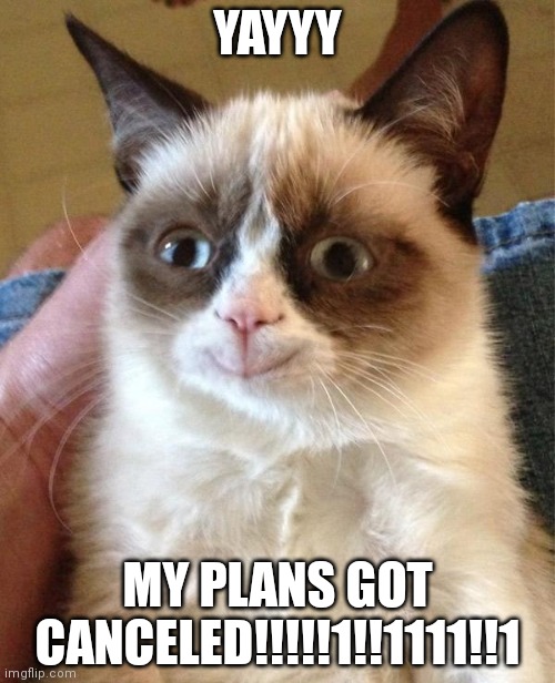 Grumpy Cat Happy Meme | YAYYY; MY PLANS GOT CANCELED!!!!!1!!1111!!1 | image tagged in memes,grumpy cat happy,grumpy cat | made w/ Imgflip meme maker