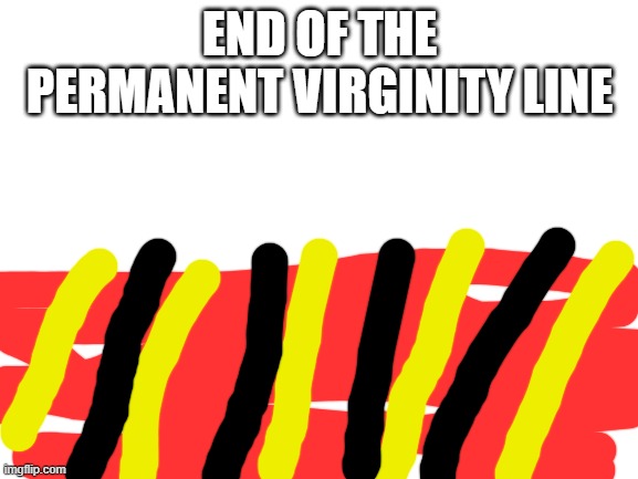 Blank White Template | END OF THE PERMANENT VIRGINITY LINE | image tagged in blank white template | made w/ Imgflip meme maker