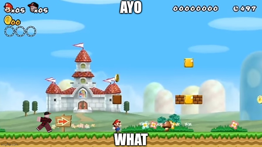 AYO; WHAT | image tagged in mario,nsmbw,roblox,rfg | made w/ Imgflip meme maker