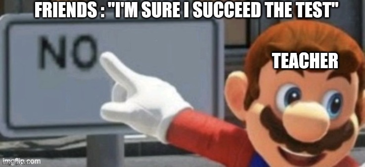 mario no sign | FRIENDS : "I'M SURE I SUCCEED THE TEST"; TEACHER | image tagged in mario no sign | made w/ Imgflip meme maker