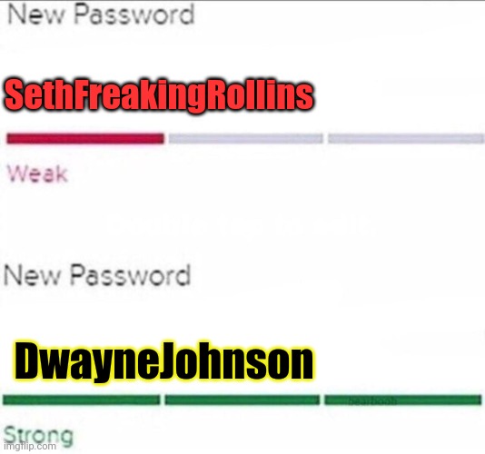 Cybersecurity | SethFreakingRollins DwayneJohnson | image tagged in password strength,cybersecurity,wwe,stop it get some help | made w/ Imgflip meme maker