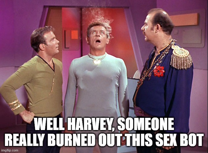 Mudd Bot | WELL HARVEY, SOMEONE REALLY BURNED OUT THIS SEX BOT | image tagged in star trek i mudd | made w/ Imgflip meme maker